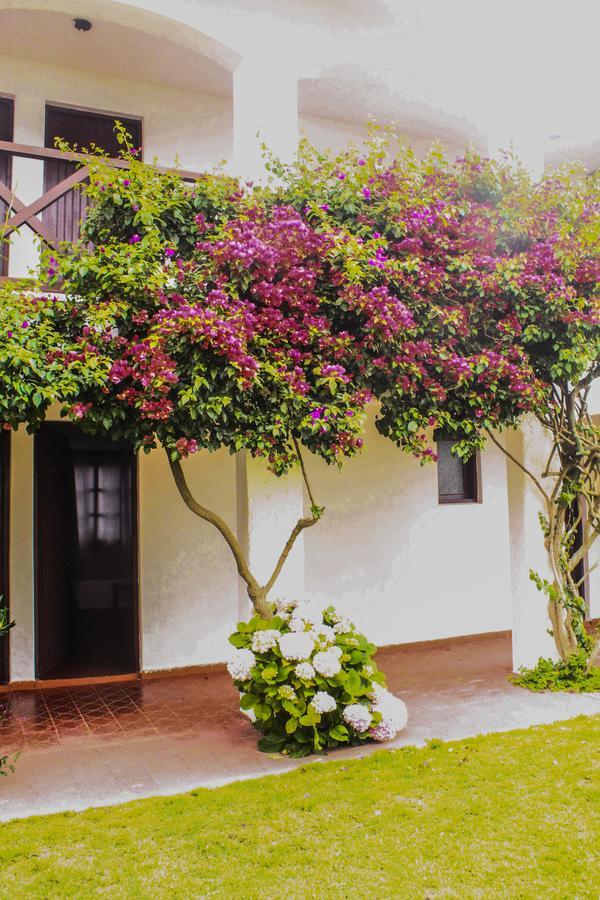Hotel Del Diablo Punta Del Diablo Eksteriør bilde